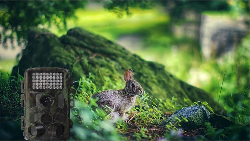 Wildlife Hunting Trail Camera